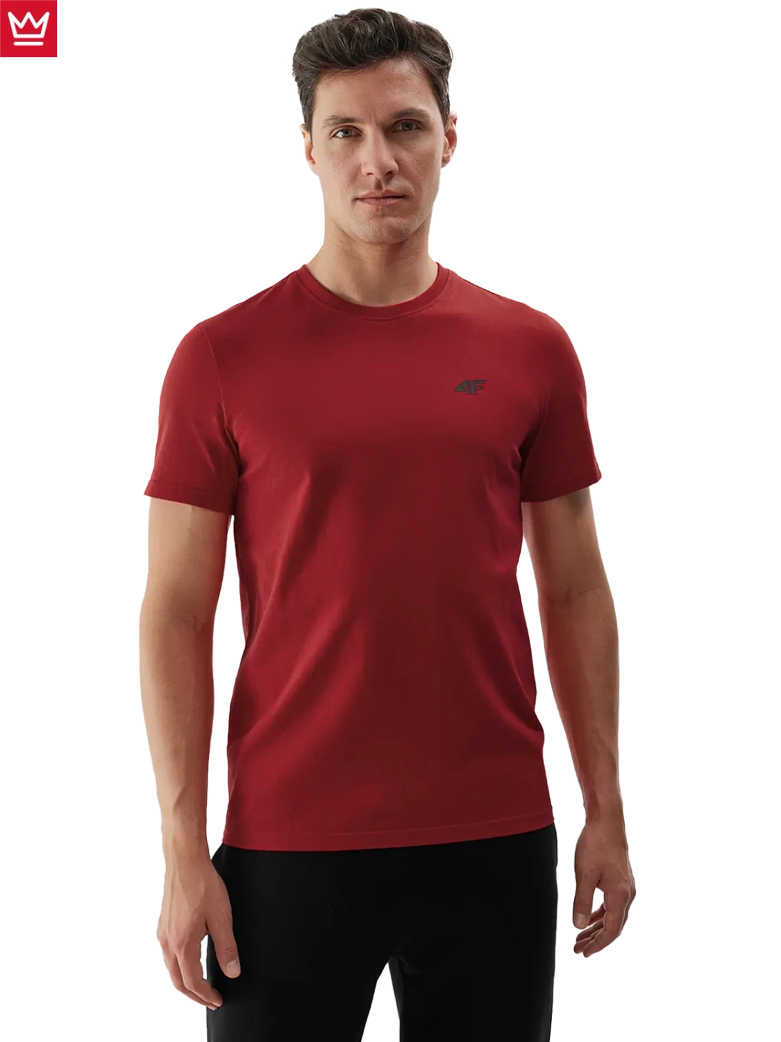 Koszulka męska 4F 4FWSS24TTSHM1900-61S