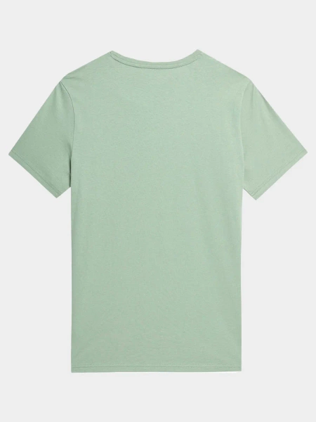 Koszulka męska  4F 4FAW23TTSHM0950-47S 