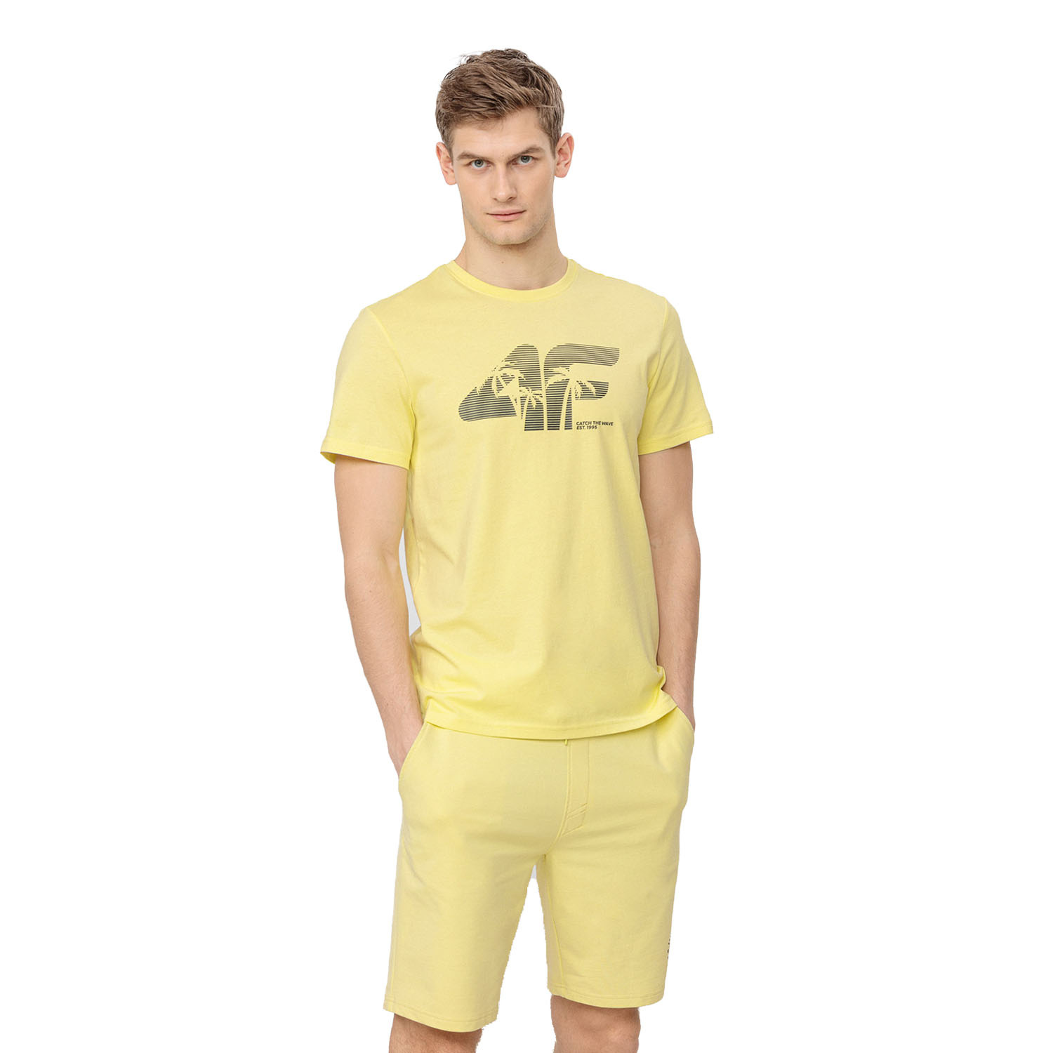 Koszulka męska 4F H4L22-TSM042-73S