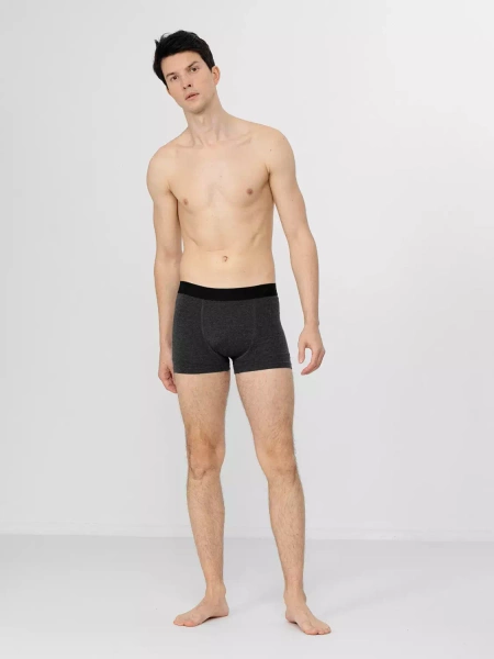 Bokserki męskie 4F H4Z22-BIM350-92S