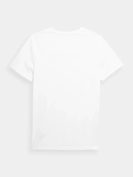 Koszulka męska 4F 4FSS23TTSHM364-10S