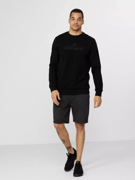 Bluza męska 4F H4Z22-BLM350-20S