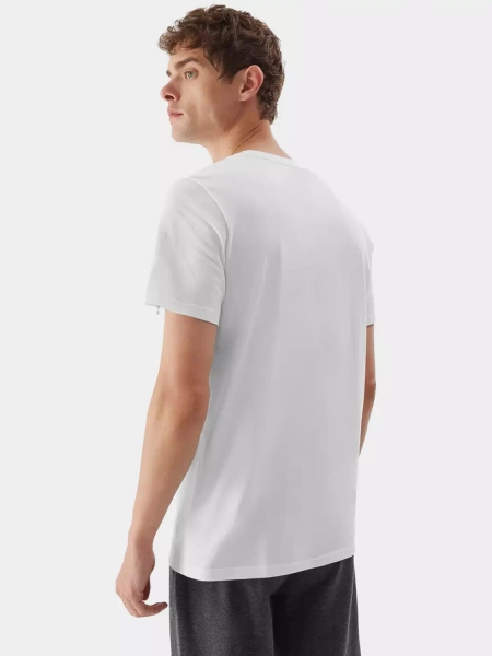 Koszulka męska 4F 4FAW23TTSHM0877-10S