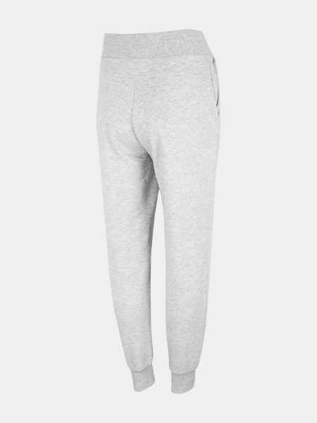 Spodnie dresowe damskie 4F H4Z22-SPDD351-27M