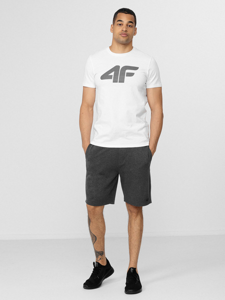 Spodenki męskie 4F H4L22-SKMD350-23M