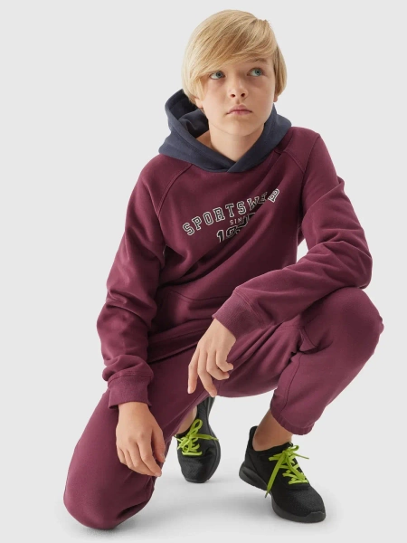 Bluza dziecięca z kapturem 4F 4FJAW23TSWSM651-60S
