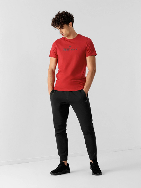 Spodnie dresowe męskie 4F NOSH4-SPMD351-20S