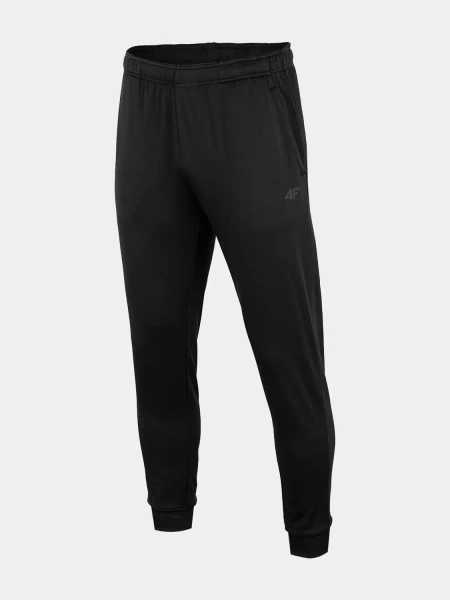 Spodnie dresowe męskie 4F H4Z22-SPMTR350-20S