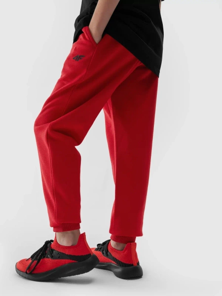 Spodnie dresowe dziecięce 4F 4FJAW23TTROM411-62S 