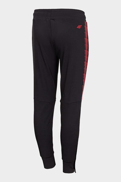 Spodnie dresowe dziecięce 4F HJZ20-JSPMTR001-20S