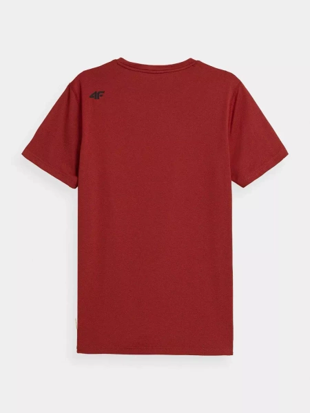 Koszulka męska 4F 4FSS23TFTSM260-62M