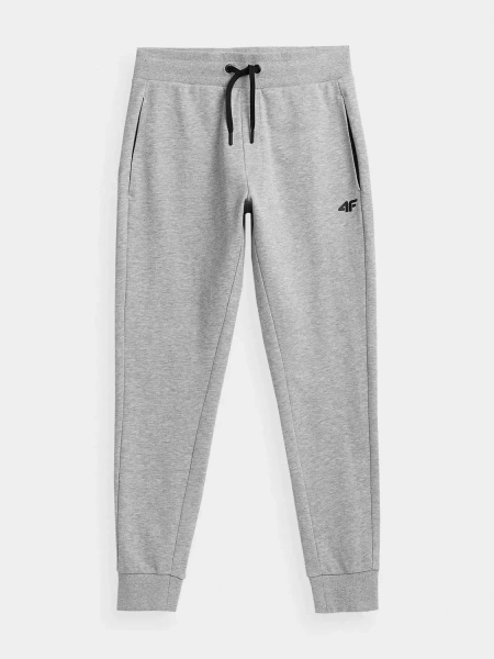 Spodnie dresowe męskie 4F H4Z22-SPMD351-27M