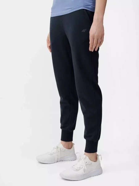 Spodnie dresowe damskie 4F 4FSS23TTROF229-31S