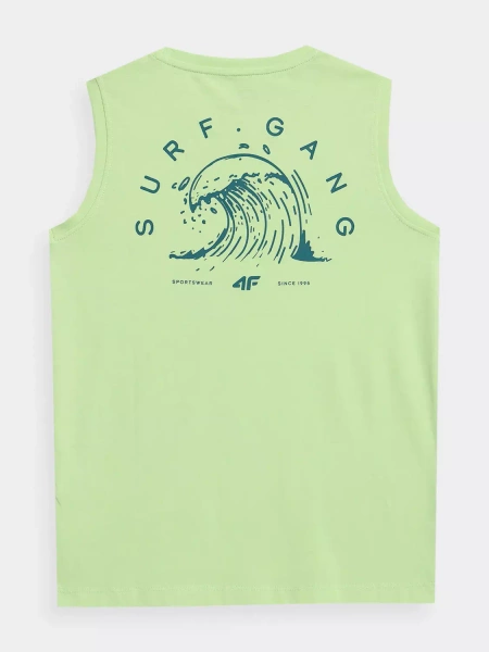 Koszulka dziecięca 4F 4FJSS23TTSHM284-42S