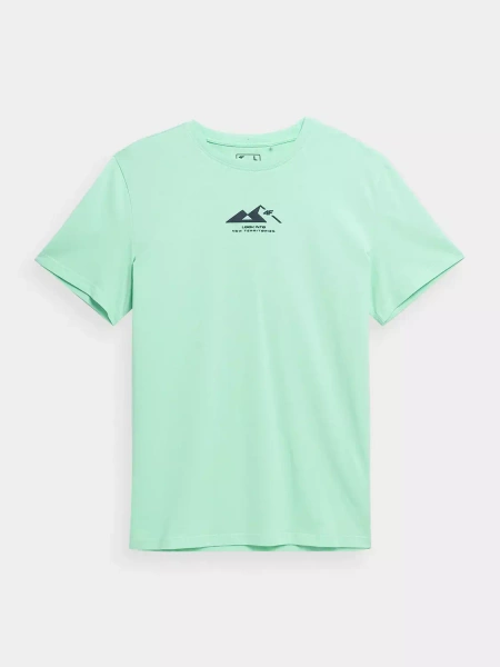 Koszulka męska 4F 4FSS23TTSHM486-42N