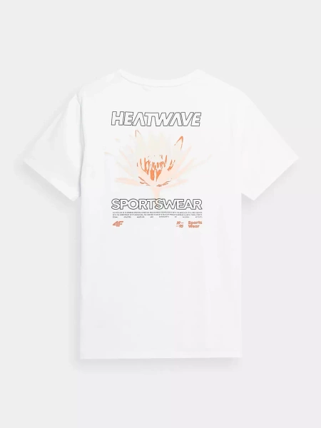 Koszulka męska 4F 4FSS23TTSHM355-10S