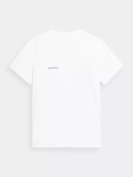 Koszulka męska 4F 4FSS23TTSHM361-10S