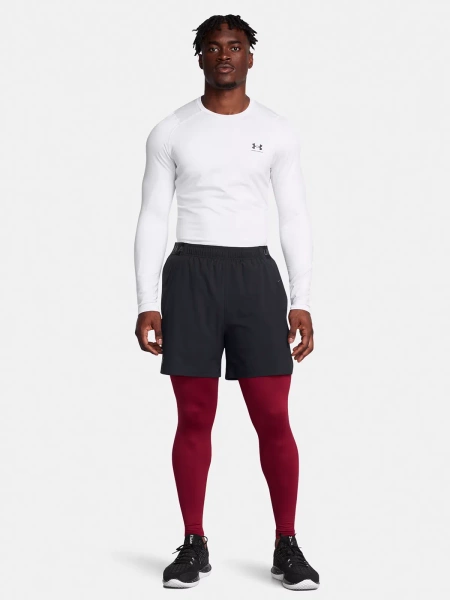 Legginsy męskie Under Armour 1386946-625