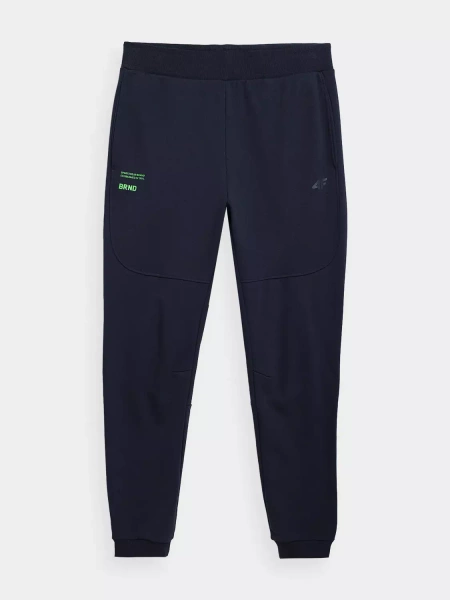 Spodnie dresowe męskie 4F 4FSS23TTROM143-31S