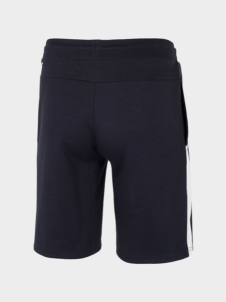 Spodenki męskie 4F H4L21-SKMD010-30S