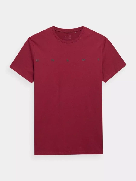 Koszulka męska 4F 4FSS23TTSHM305-61S