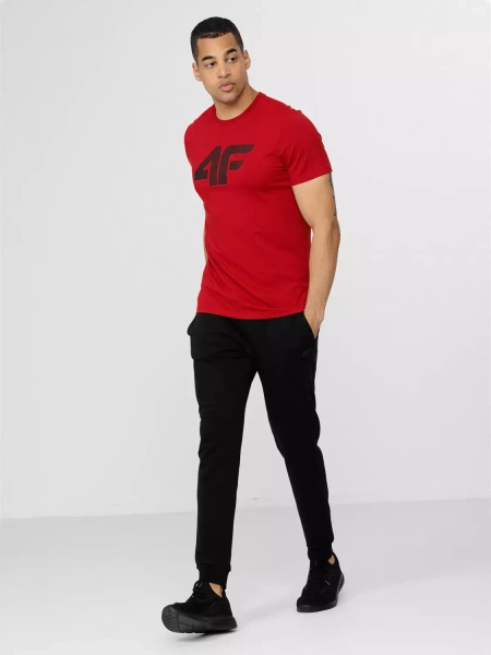 Koszulka męska 4F H4Z22-TSM353-62S