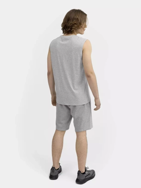 Koszulka męska 4F 4FSS23TSLEM016-27M