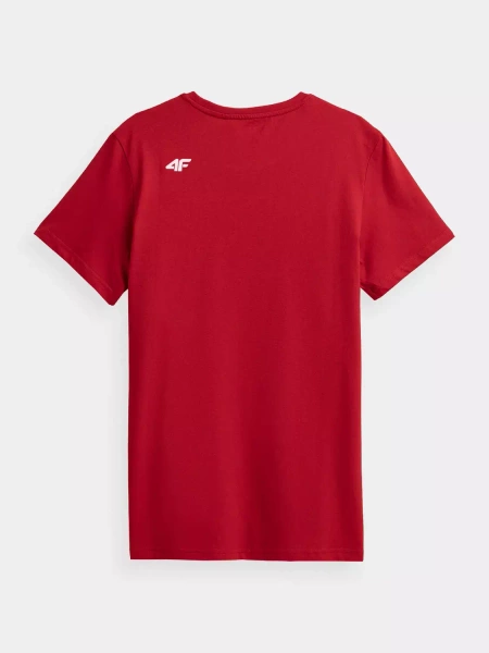Koszulka męska 4F 4FAW22TTSHM707-62S