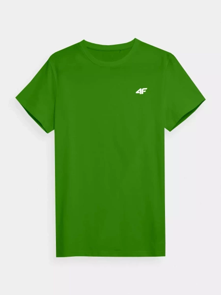 Koszulka męska 4F 4FWSS23TTSHM1229-41S