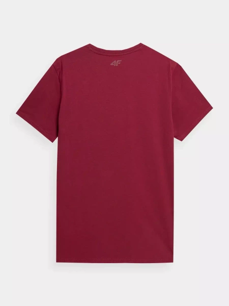 Koszulka męska 4F 4FSS23TTSHM308-61S