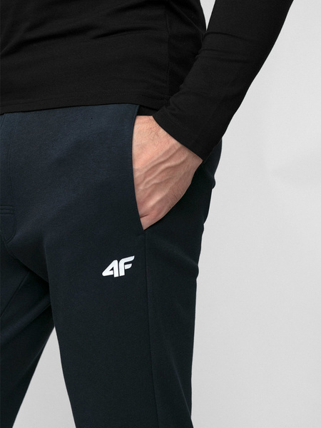 Spodnie dresowe męskie 4F 4FSS22TTROM105-31S