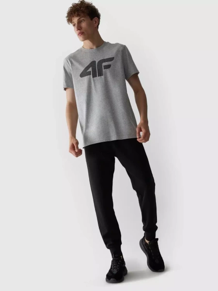 Koszulka męska 4F 4FAW23TTSHM0877-27M