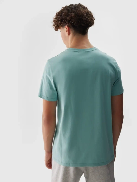 Koszulka męska 4F 4FWSS24TTSHM1155-47S