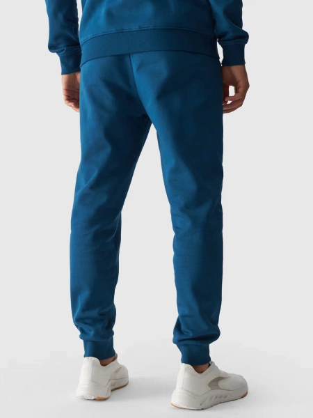 Spodnie dresowe męskie 4F 4FWMM00TTROM0943-46S