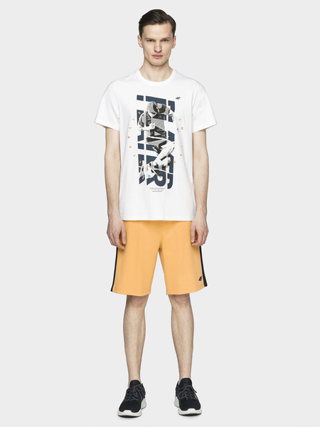 Koszulka męska 4F H4L21-TSM011-11S