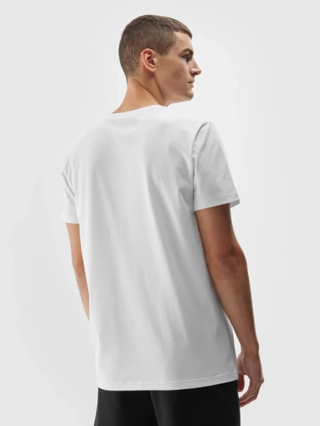 Koszulka męska 4F 4FAW23TTSHM0951-10S