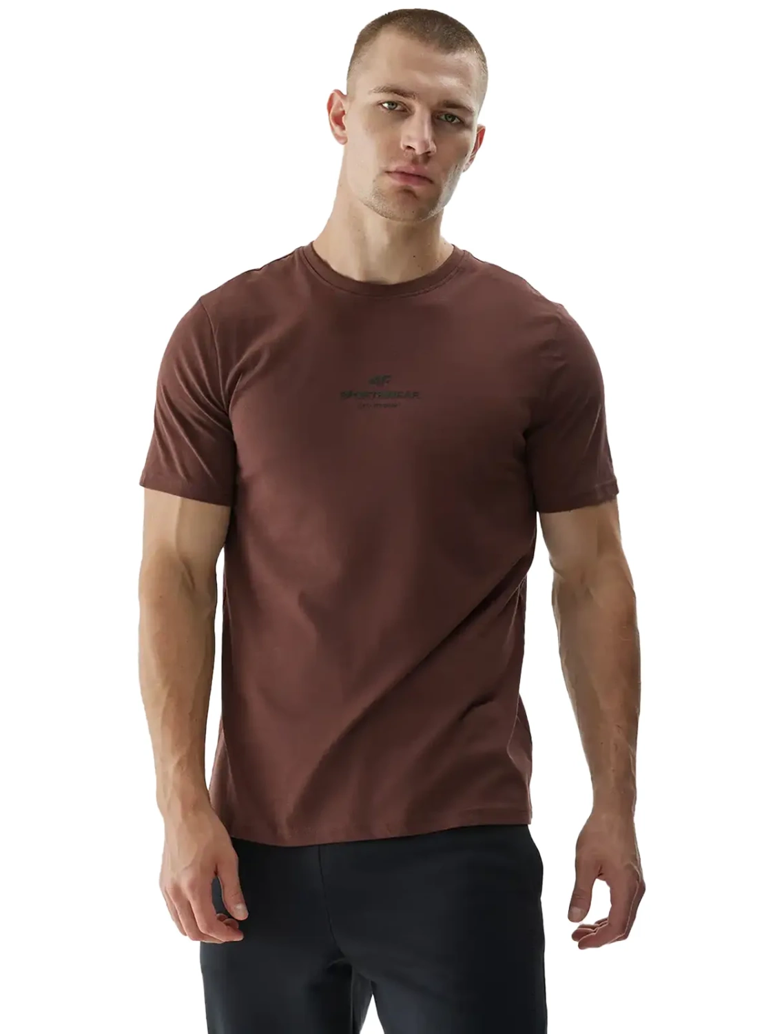 Koszulka męska 4F 4FWAW24TTSHM1585-80S