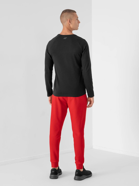 Spodnie dresowe męskie 4F NOSH4-SPMD351-62S