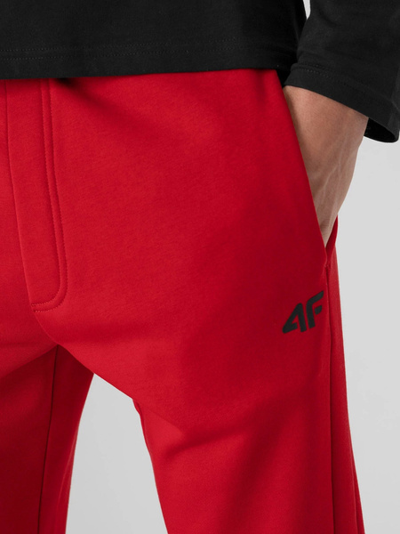 Spodnie dresowe męskie 4F NOSH4-SPMD351-62S