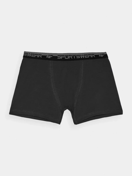 Bokserki 4F męskie 4FWMM00UBXSM051-20S (2-PAK)