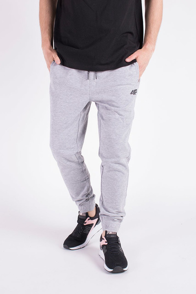 Spodnie dresowe męskie 4F H4Z19-SPMD001-27M