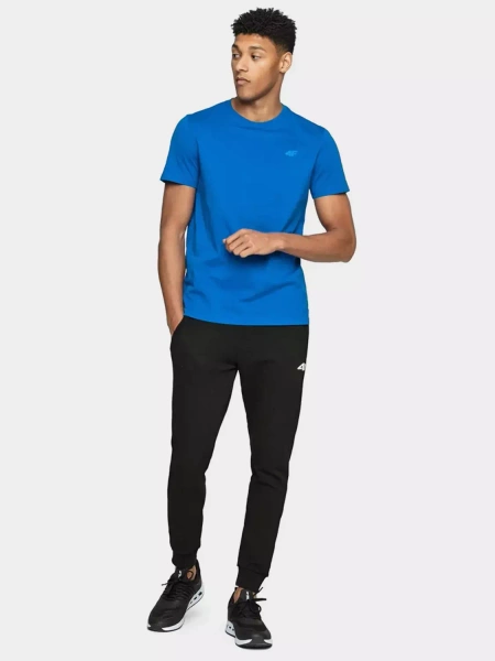 Spodnie dresowe męskie 4F 4FAW22TTROM314-20S