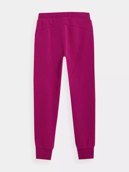 Spodnie dresowe dziecięce 4F 4FJSS23TTROF130-53S