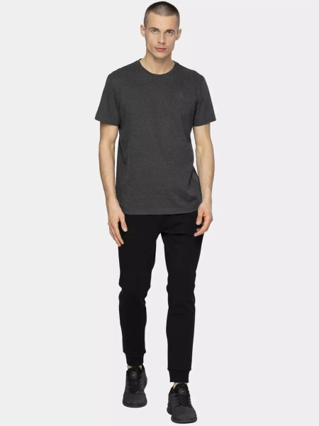 Koszulka męska 4F 4FAW22TTSHM707-23M