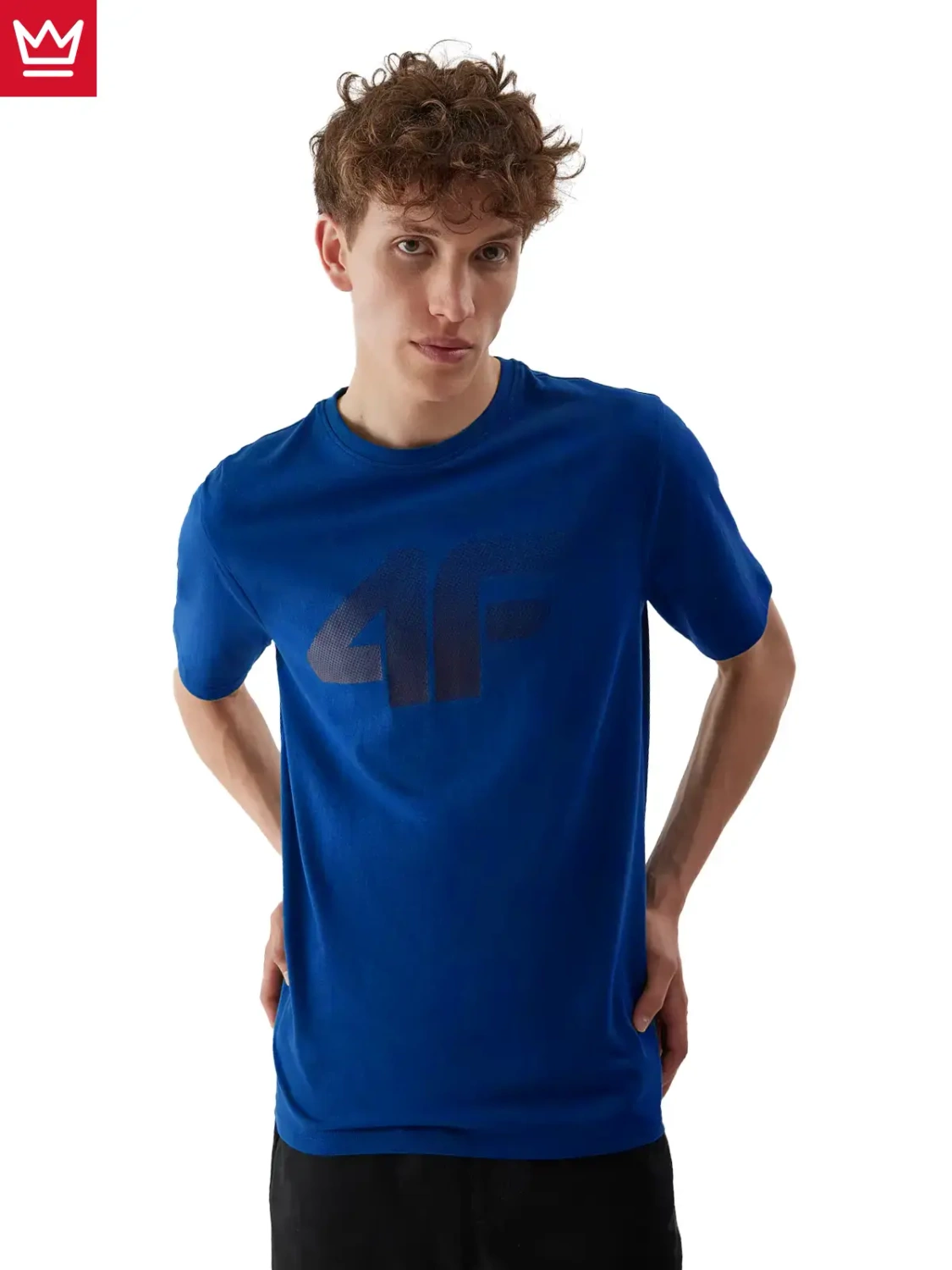 Koszulka męska 4F 4FWAW24TTSHM2423-36S