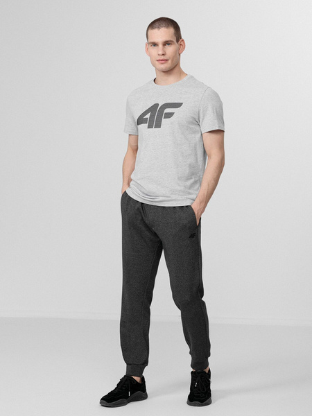 Spodnie dresowe męskie 4F H4L22-SPMD350-23M