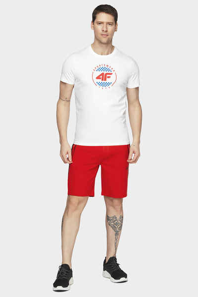 Koszulka męska 4F H4L20-TSM022-10S