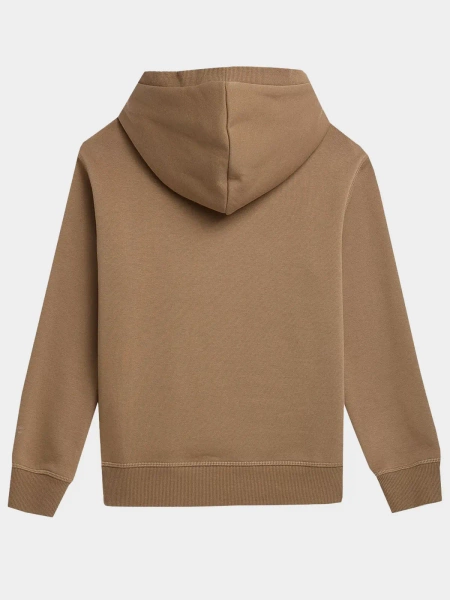 Bluza dziecięca z kapturem 4F 4FJAW23TSWSM652-83S 