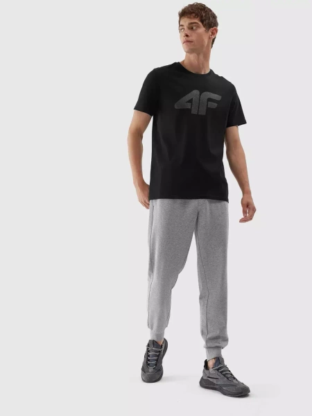 Koszulka męska 4F 4FAW23TTSHM0877-20S