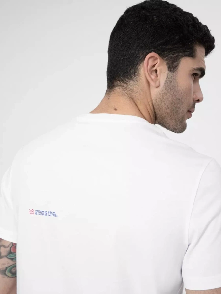 Koszulka męska 4F 4FSS23TTSHM361-10S